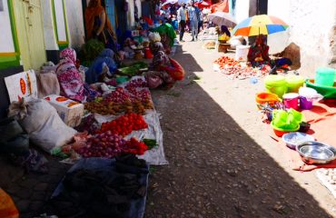 P1060922