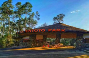 Entoto Mountain Guided Day Tour from Addis Ababa