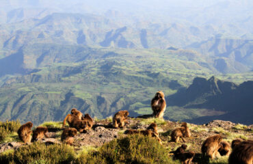 Simien Mountains National Park