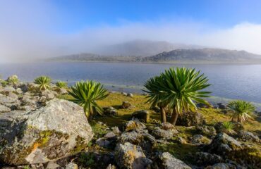 Bale Mountians tour 9 Days